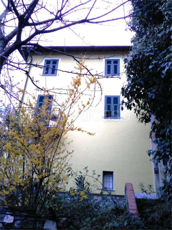 immagine annuncio 3 di 12