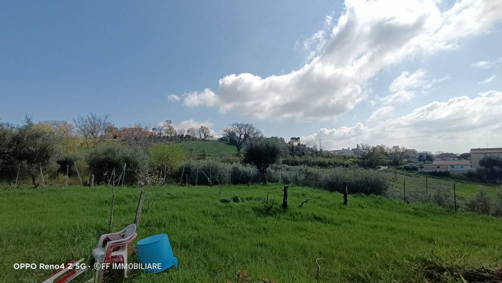 immagine annuncio 3 di 7