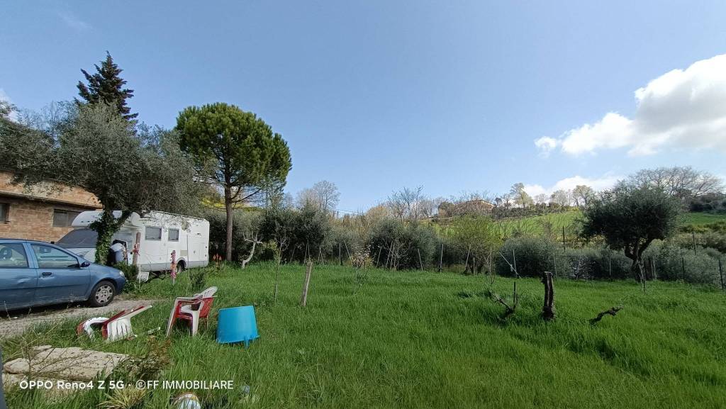 immagine annuncio 4 di 7