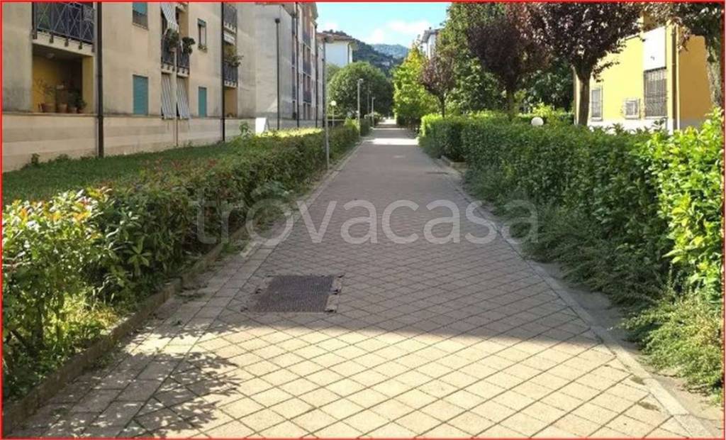 immagine annuncio 7 di 14