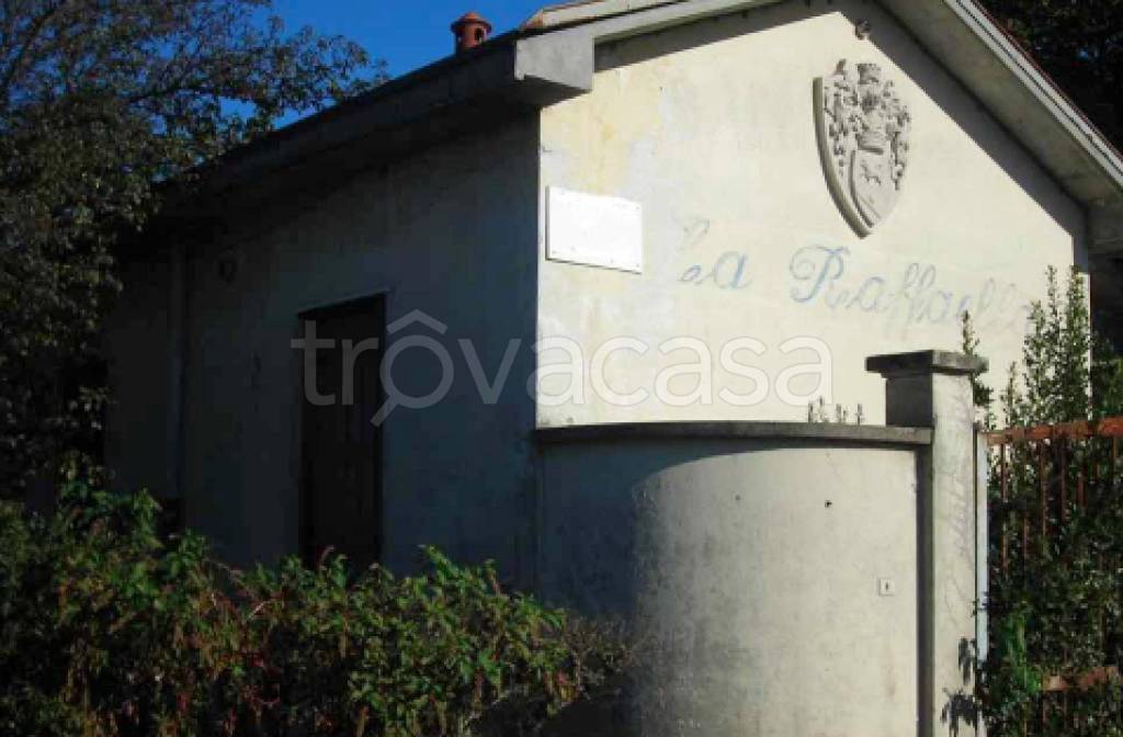 immagine annuncio 11 di 12