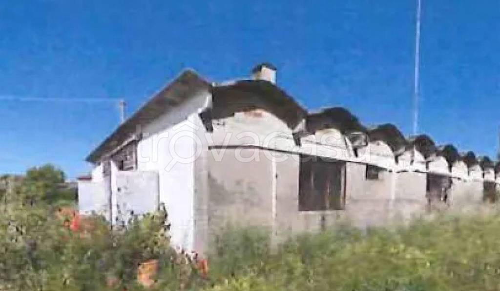 immagine annuncio 11 di 12