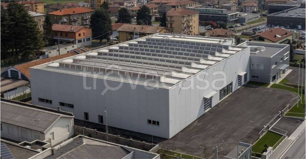 immagine annuncio 4 di 7