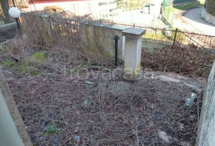 immagine annuncio 3 di 11