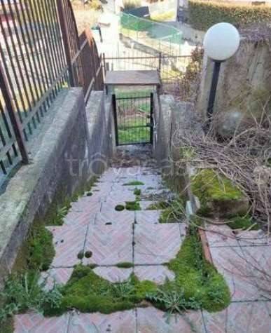 immagine annuncio 4 di 11