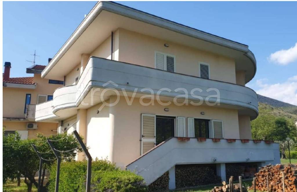 immagine annuncio 7 di 11