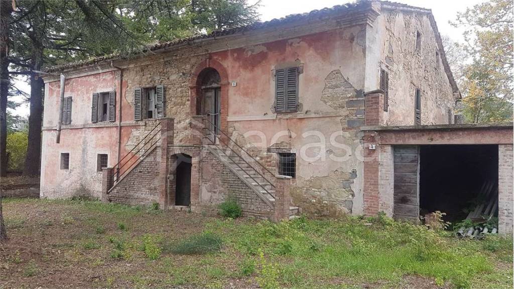immagine annuncio 3 di 9