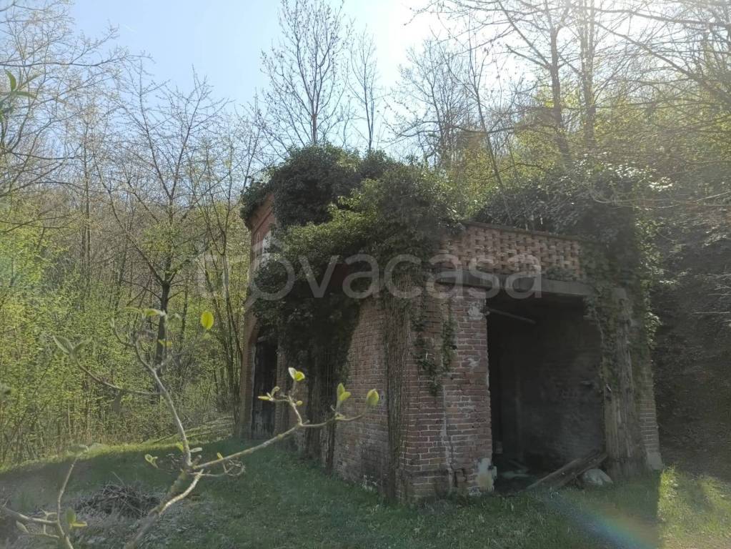 immagine annuncio 11 di 15