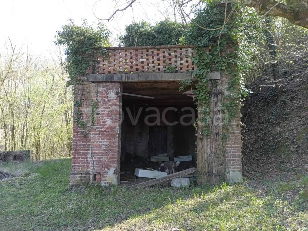 immagine annuncio 12 di 15