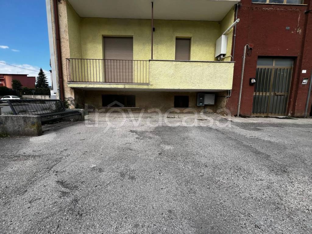 immagine annuncio 12 di 13
