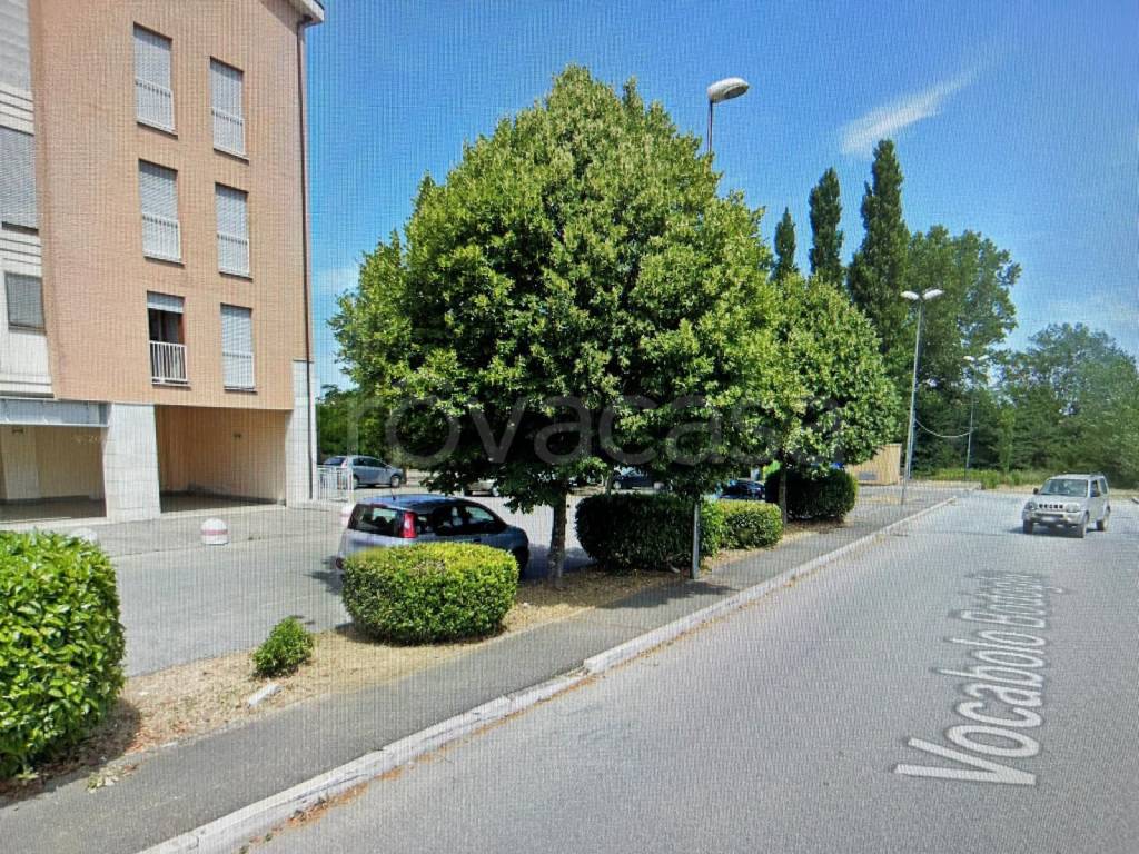 immagine annuncio 9 di 15