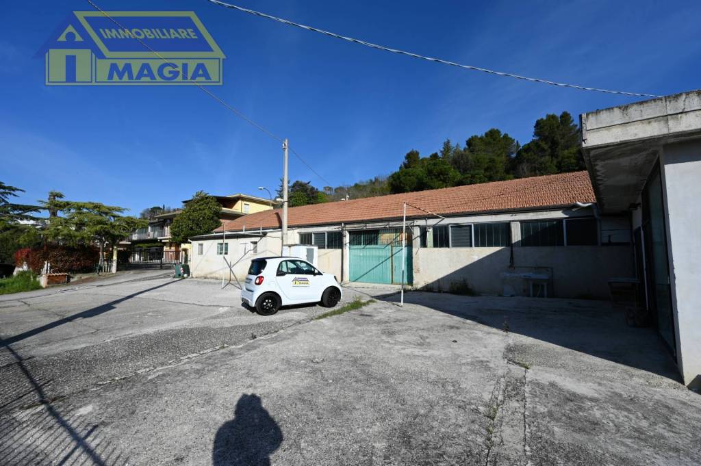 immagine annuncio 1 di 7