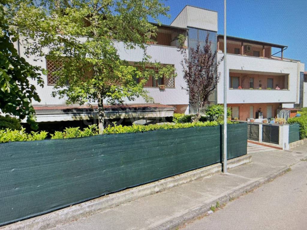 immagine annuncio 8 di 11