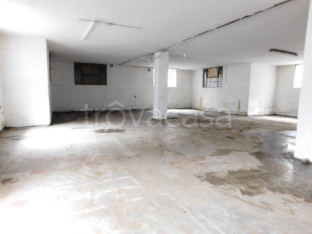 immagine annuncio 9 di 11