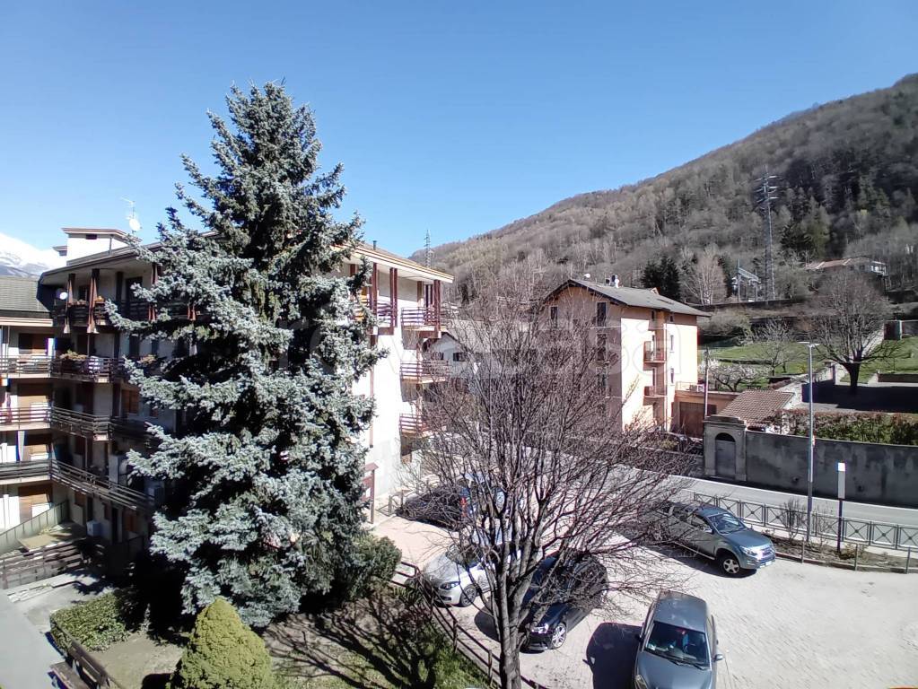 immagine annuncio 12 di 14