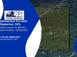 Terreno agricolo all'asta a bortigiadas bortigiadas