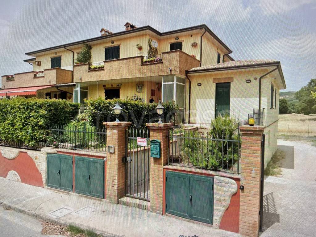 immagine annuncio 5 di 12