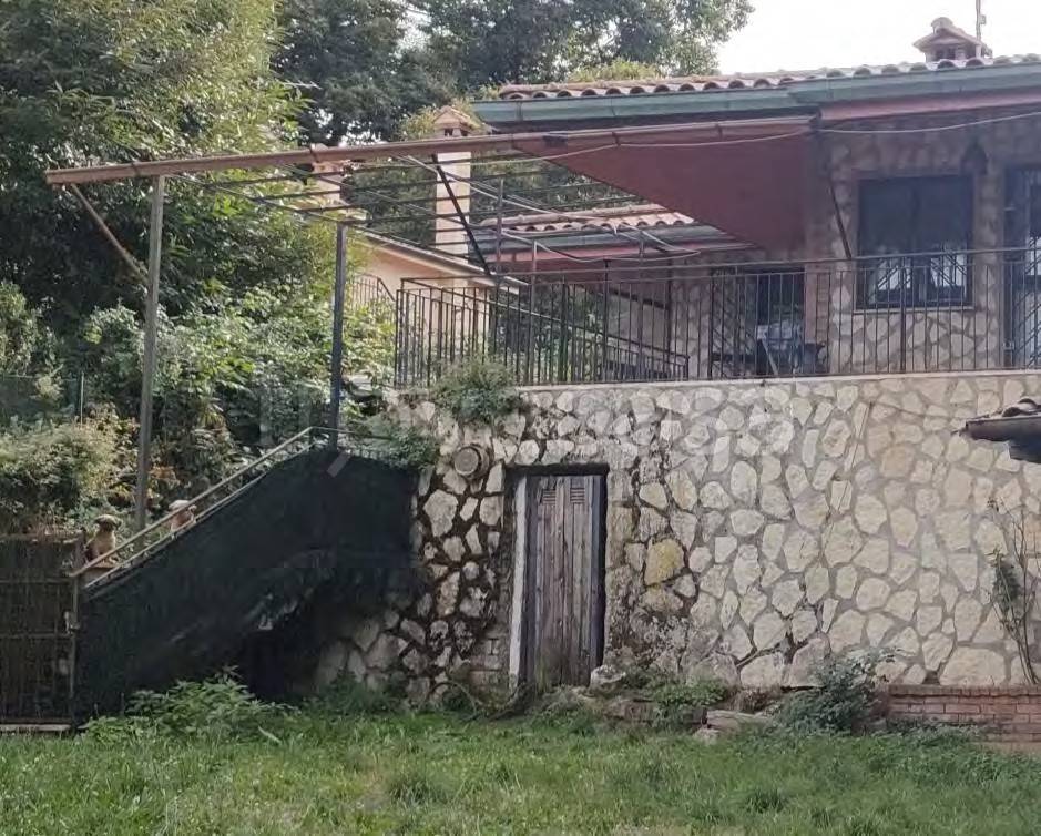 immagine annuncio 8 di 11