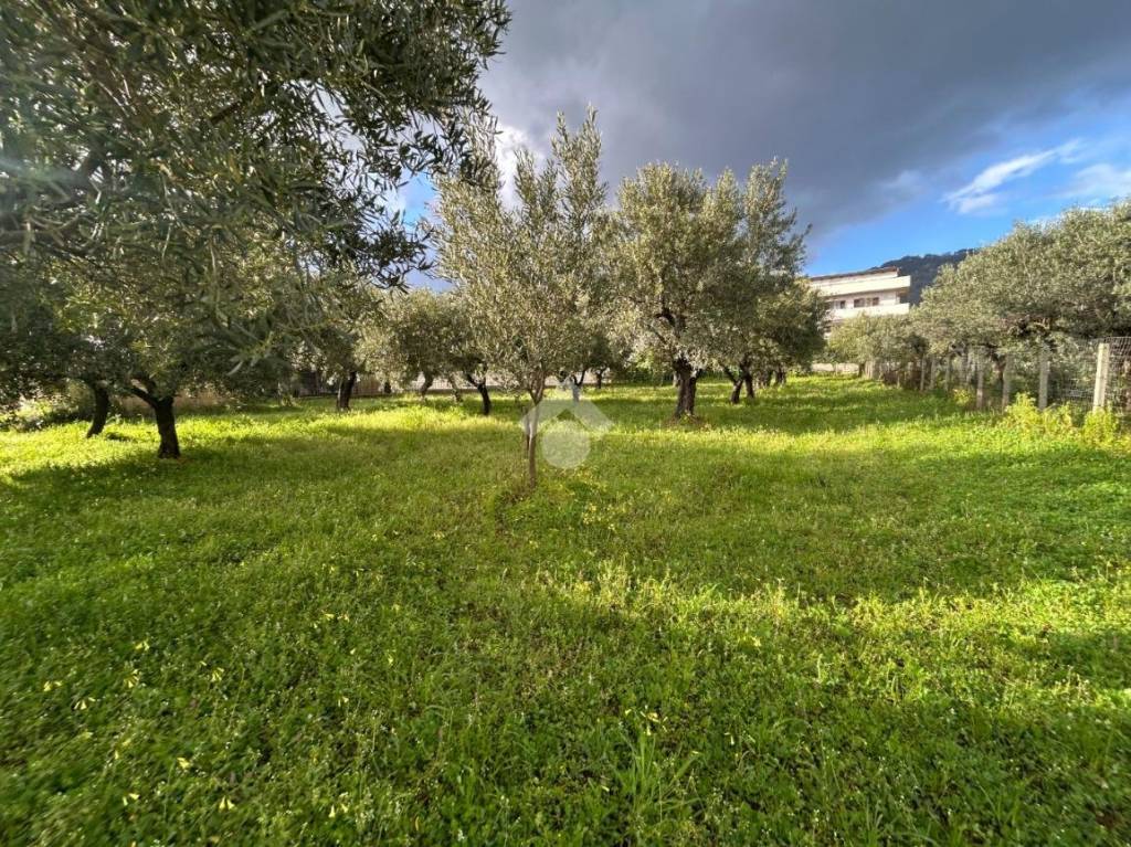 immagine annuncio 4 di 8