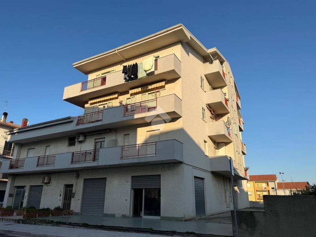 immagine annuncio 12 di 13