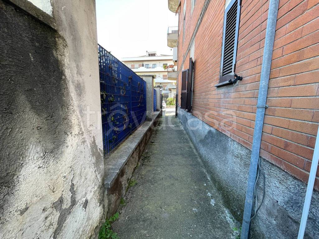 immagine annuncio 5 di 6