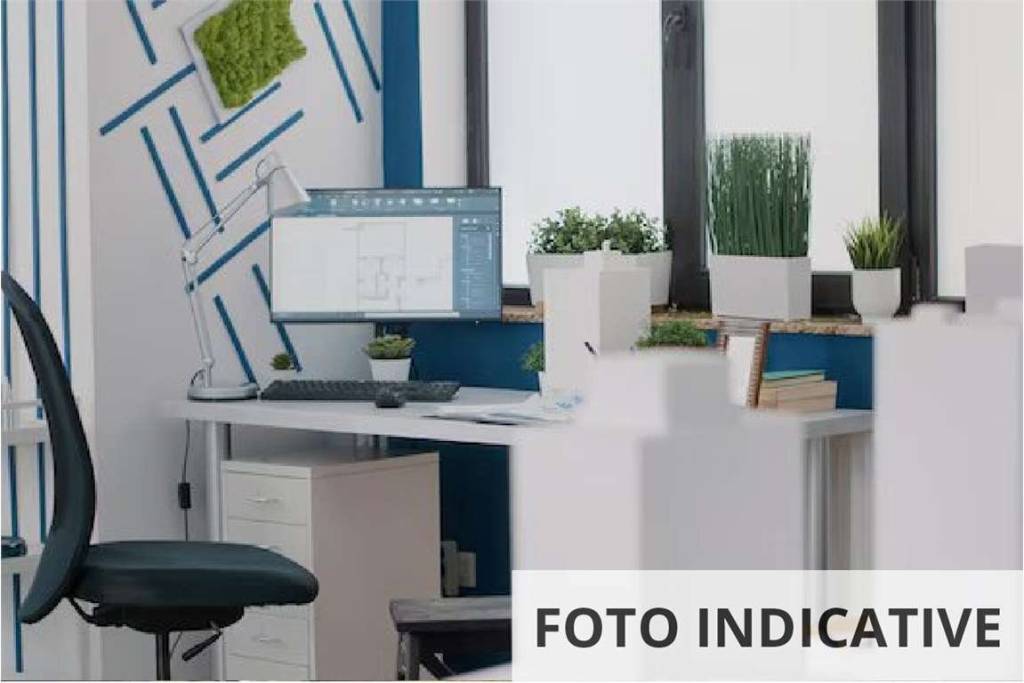 immagine annuncio 9 di 12