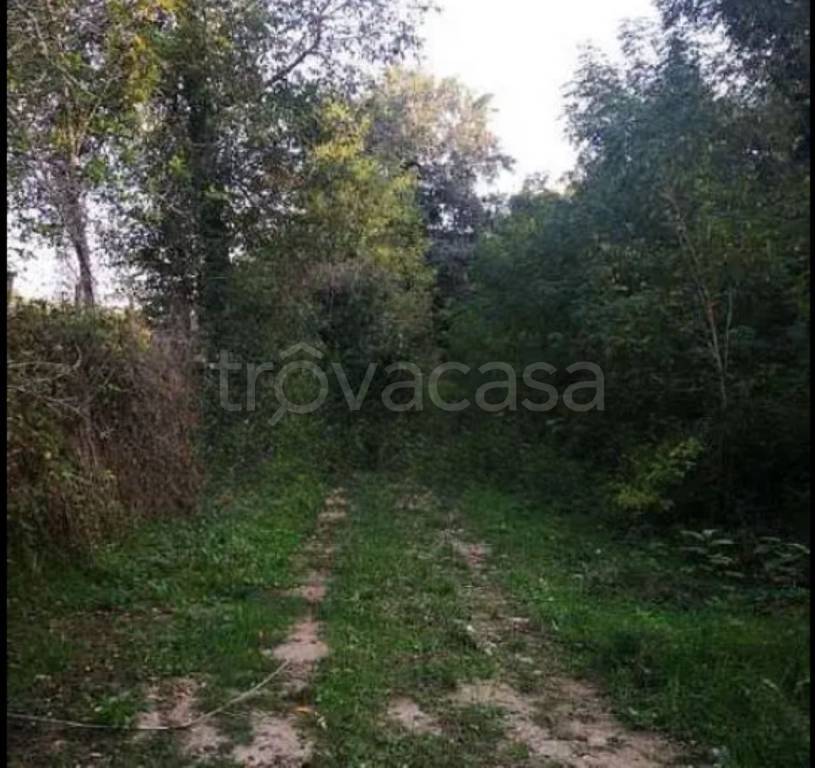 immagine annuncio 6 di 8
