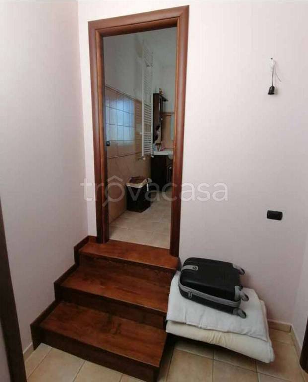 immagine annuncio 9 di 14