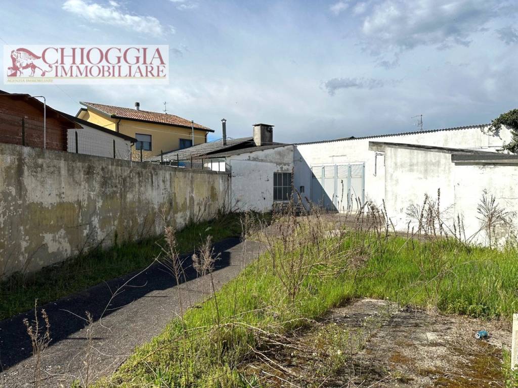 immagine annuncio 2 di 12
