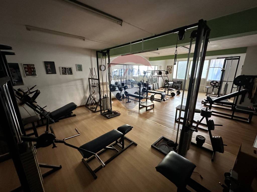 immagine annuncio 14 di 15