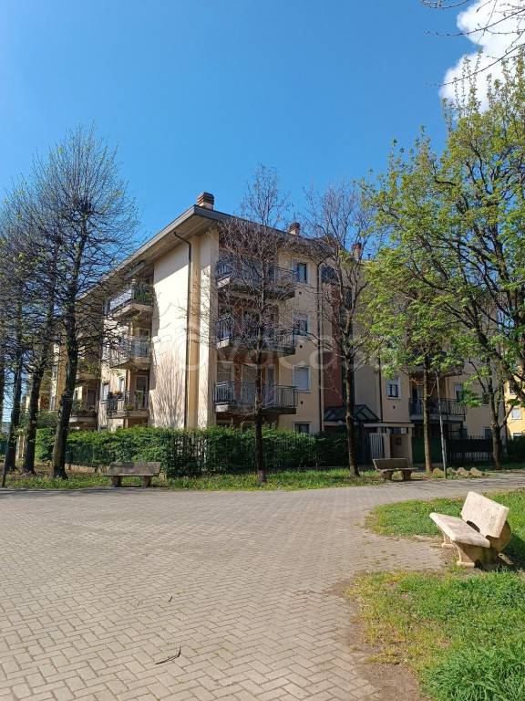 immagine annuncio 1 di 15