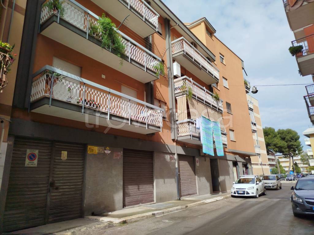 immagine annuncio 1 di 7