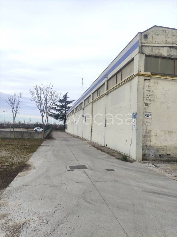 immagine annuncio 8 di 11