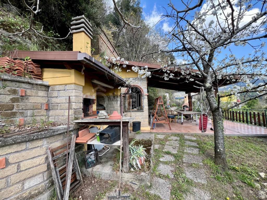 immagine annuncio 11 di 13