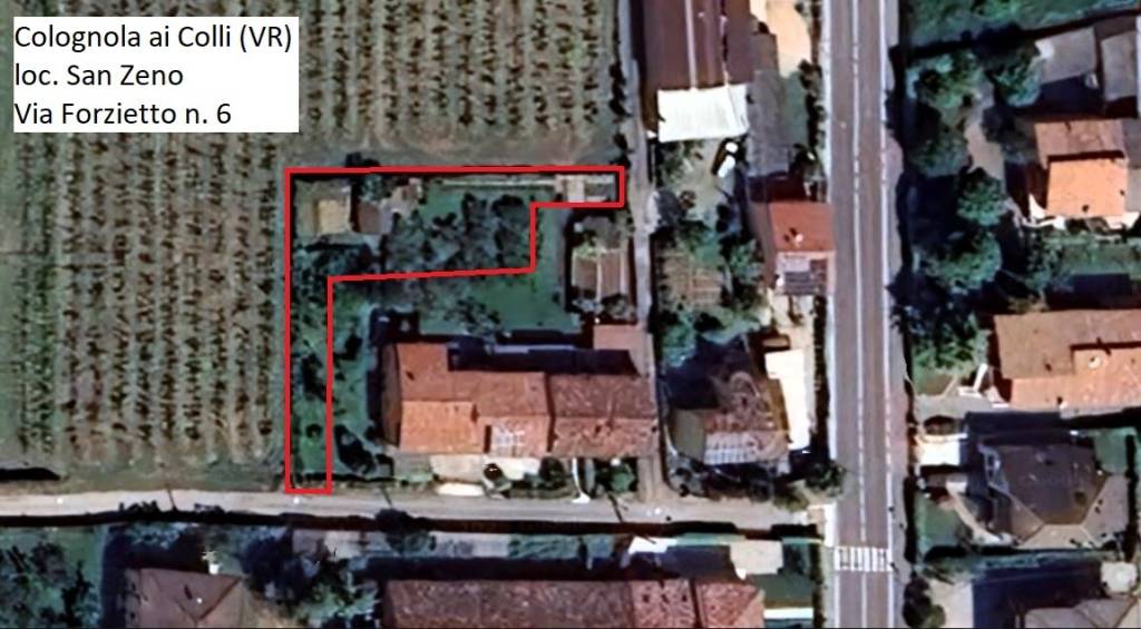 immagine annuncio 1 di 10