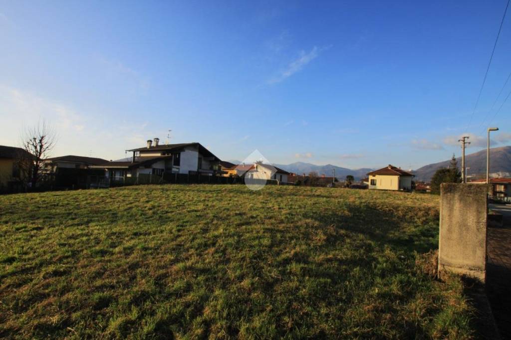 immagine annuncio 8 di 11