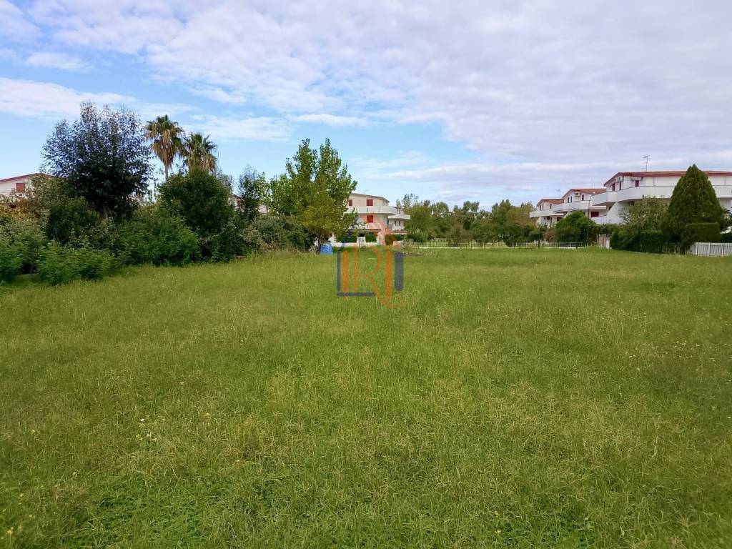 immagine annuncio 3 di 9
