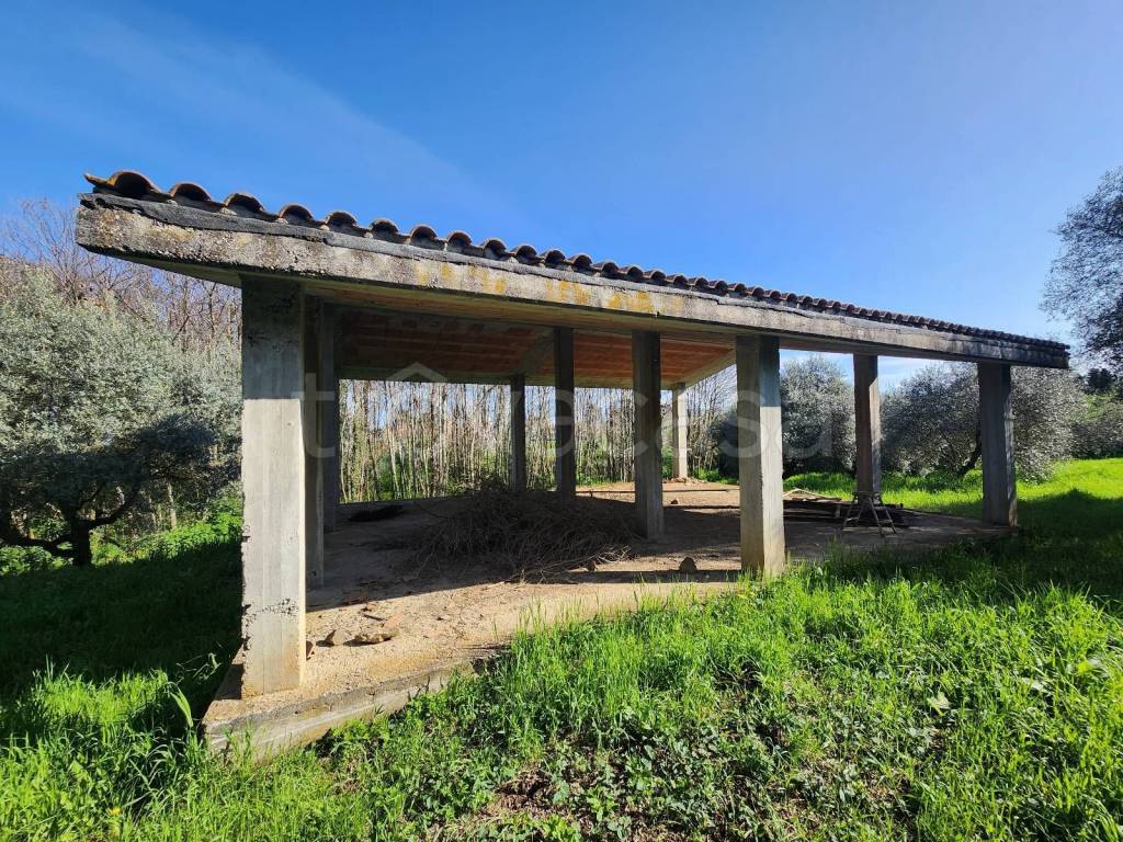 immagine annuncio 2 di 13
