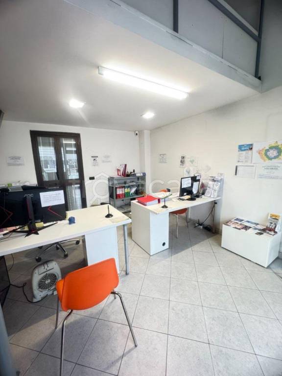 immagine annuncio 4 di 13