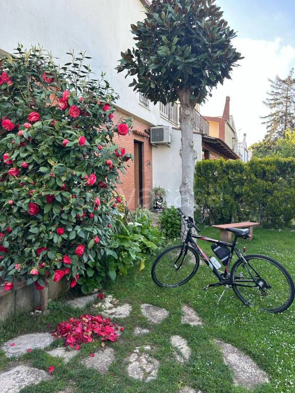 immagine annuncio 6 di 15