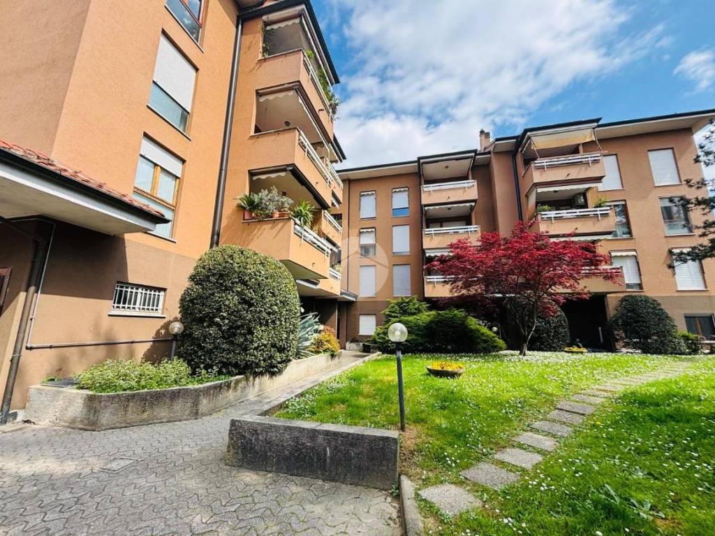 immagine annuncio 10 di 15