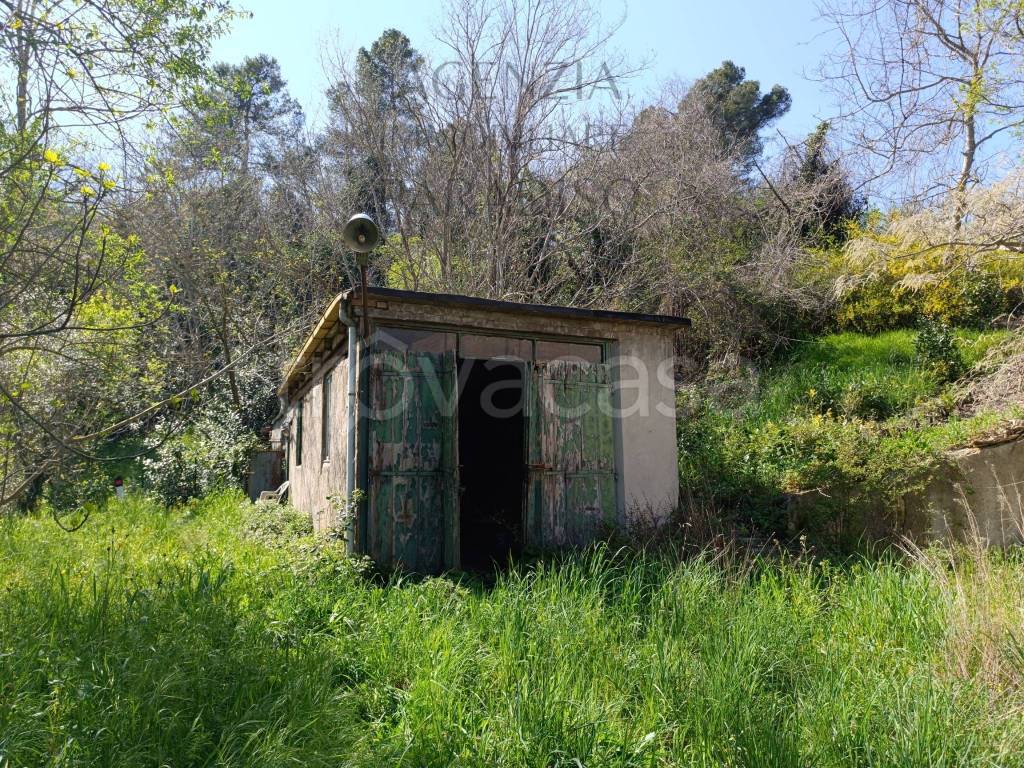 immagine annuncio 9 di 15