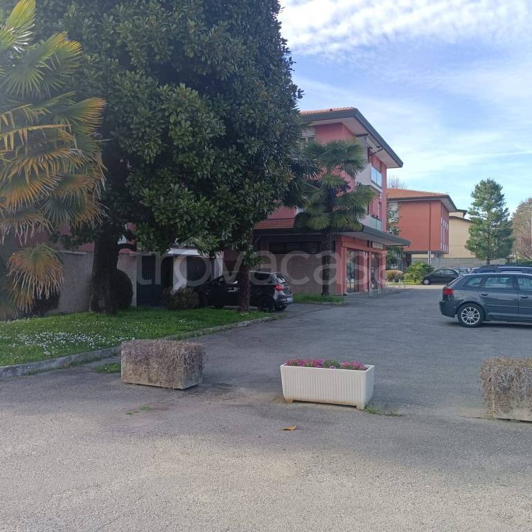 immagine annuncio 10 di 11
