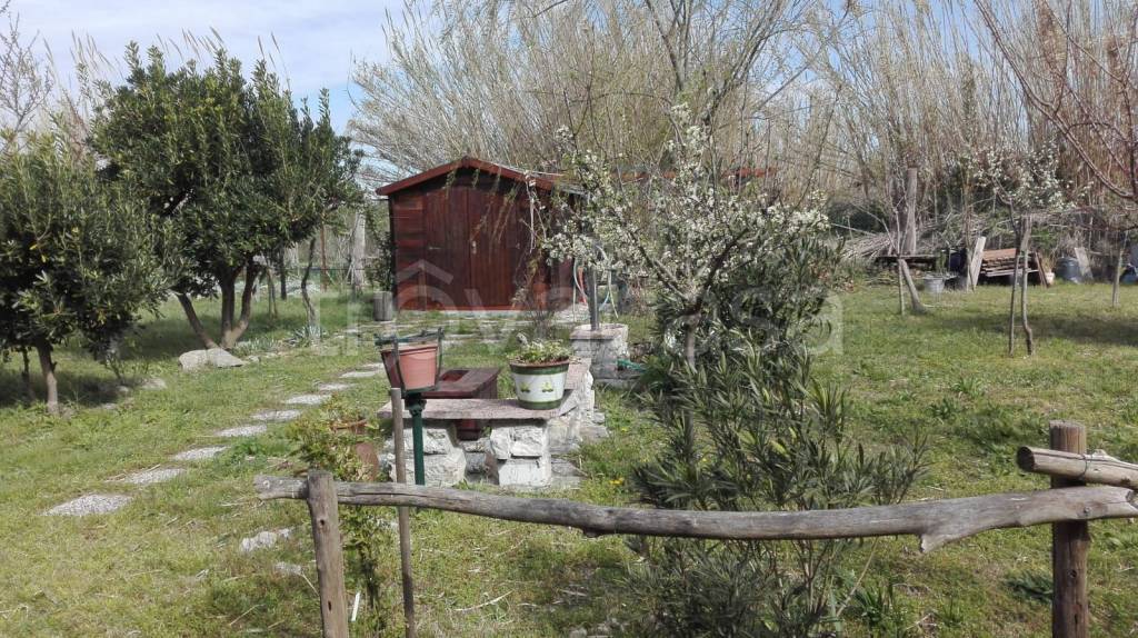 immagine annuncio 11 di 12