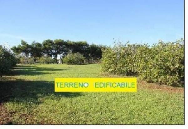 immagine annuncio 3 di 4