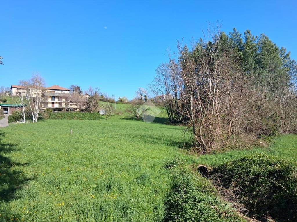 immagine annuncio 9 di 12