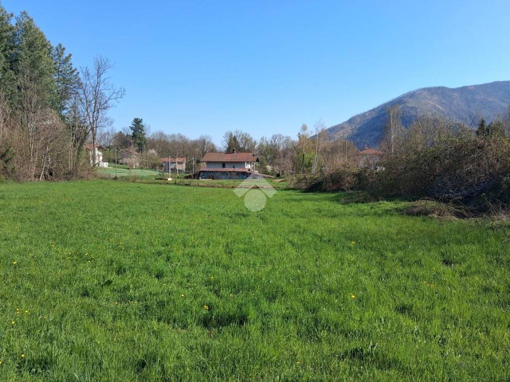 immagine annuncio 10 di 12