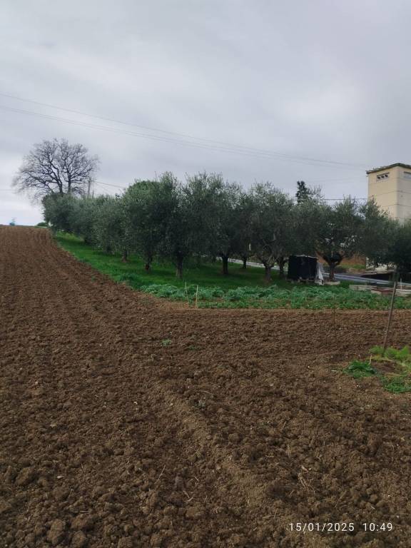 immagine annuncio 4 di 6