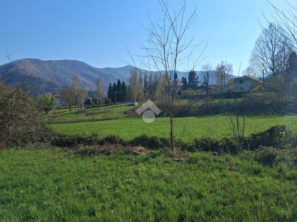 immagine annuncio 6 di 13