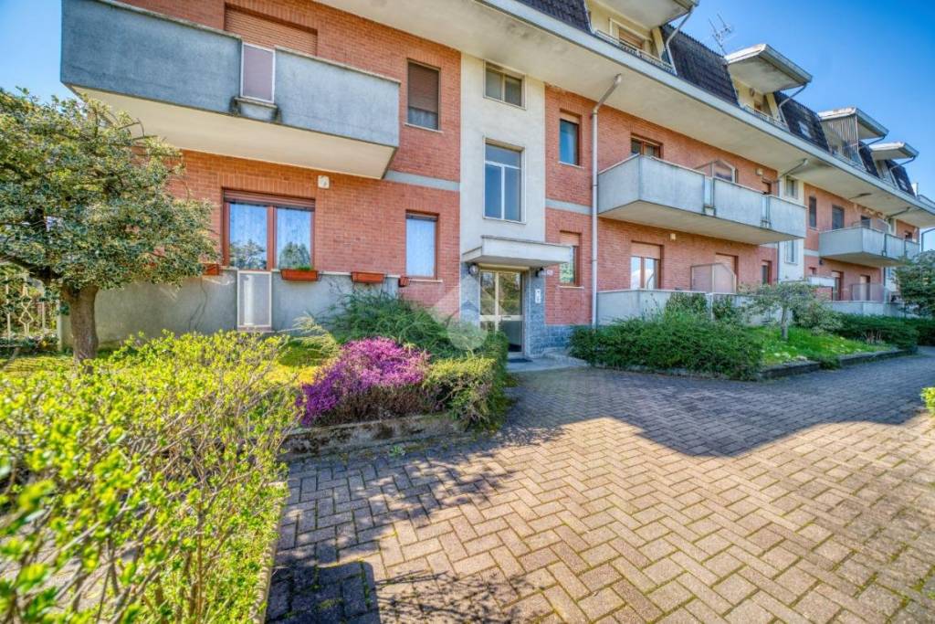 immagine annuncio 9 di 15